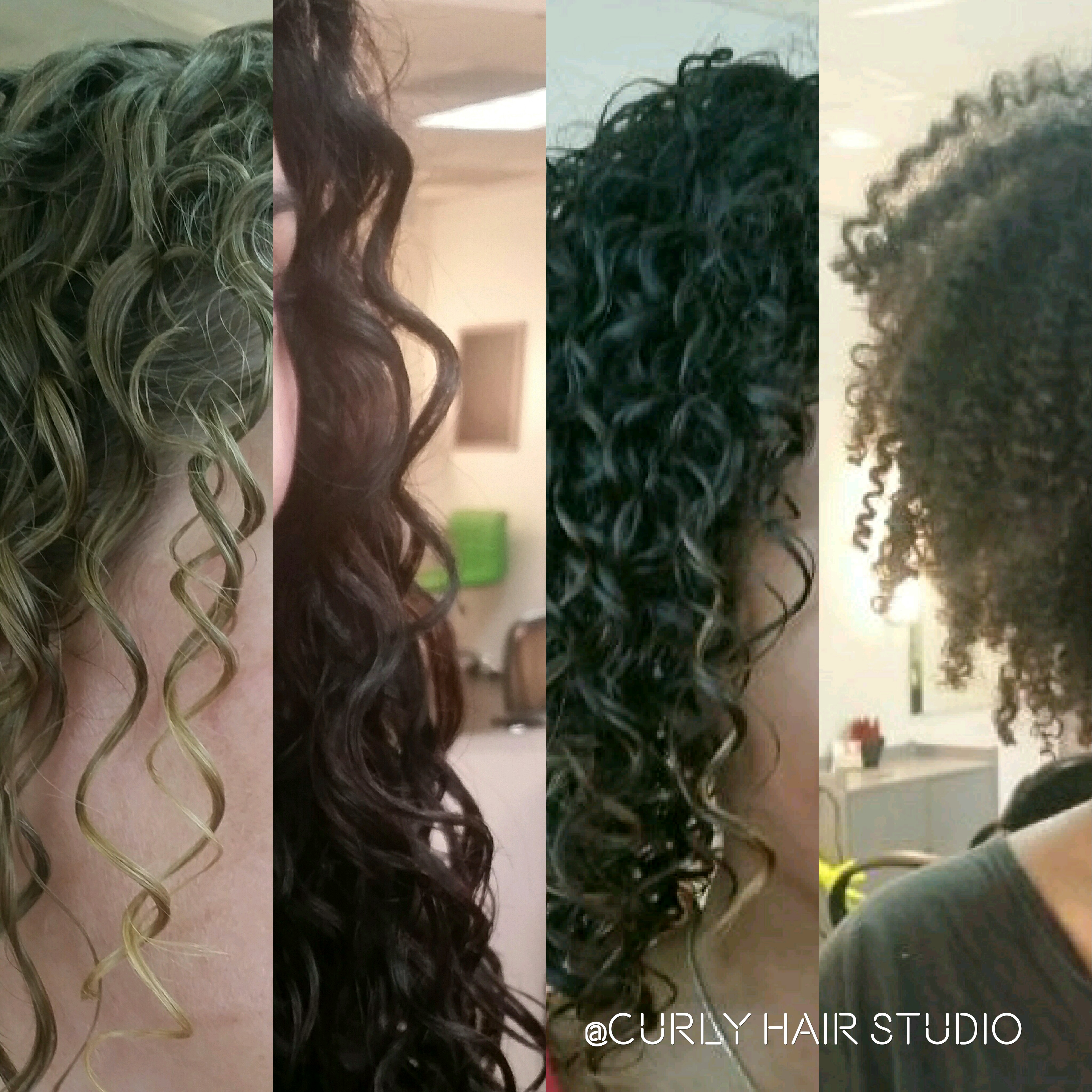 Curly%20hair%20studio%203